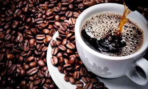 Giá cà phê ngày 23/12: Giá cà phê trong nước tiếp tục tăng nhẹ, cao nhất 41.000 đồng/kg