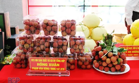 Bắc Giang: Nâng cao hiệu quả hoạt động các hợp tác xã nông nghiệp