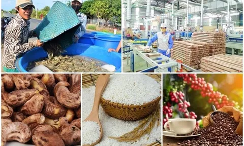 43 ngành hàng đạt giá trị xuất khẩu trên 1 tỷ USD