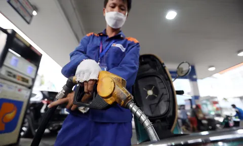 Mỗi lít xăng chịu 2.000 đồng thuế bảo vệ môi trường từ ngày 1/1/2023