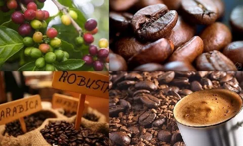 Giá cà phê ngày 04/1: Giá cà phê trong nước đi ngang, dao động từ 38.600 – 39.300 đồng/kg