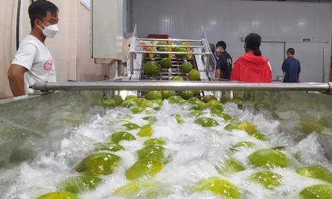 Bến Tre: Đẩy mạnh kết nối thương mại, phát triển sản phẩm OCOP