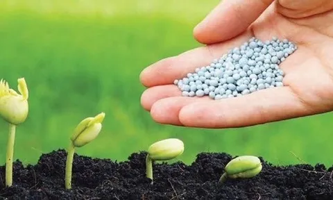 Giá phân bón có thể tụt dốc trong năm 2023