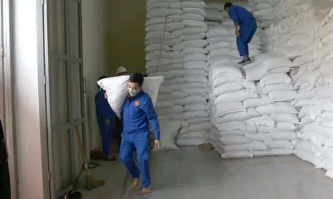 Xuất cấp gạo cho 5 tỉnh dịp Tết Nguyên đán Quý Mão và giáp hạt năm 2023