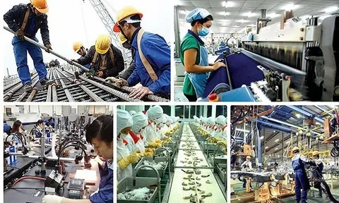 Chính sách mở cửa tốt giúp Việt Nam thu hút nhiều doanh nghiệp Đức