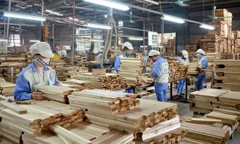 Tuyên Quang: Phát triển thị trường lao động linh hoạt, bền vững và hội nhập