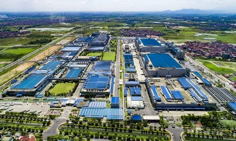 Bình Dương có tỷ lệ lấp đầy khu công nghiệp cao nhất