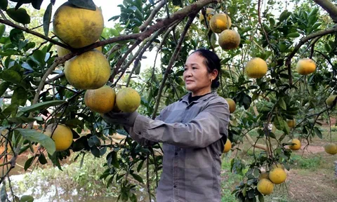 Vĩnh Phúc vượt mục tiêu giảm nghèo đến năm 2025