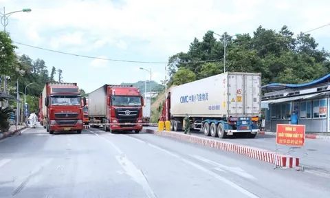 Nông sản, hoa quả tấp nập xuất khẩu sang Trung Quốc trong những ngày đầu năm