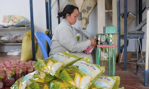 Lào Cai: Đưa nông sản Bát Xát lên sàn thương mại điện tử