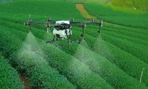 Những điều cần chú ý trong việc sử dụng thuốc Bảo vệ thực vật