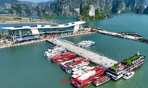 Quảng Ninh: Rực rỡ sắc màu xuân