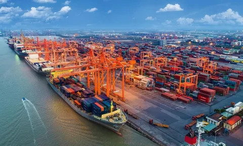 Thu ngân sách từ hoạt động xuất nhập khẩu giảm mạnh trong tháng đầu năm