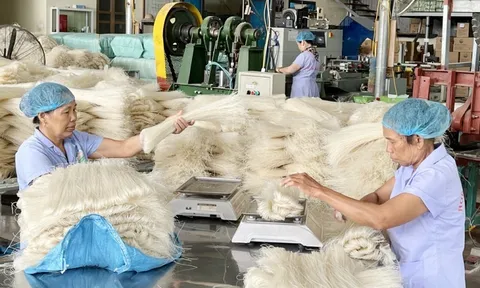 Phú Thọ: Thương mại điện tử góp phần thúc đẩy tiêu thụ nông sản OCOP