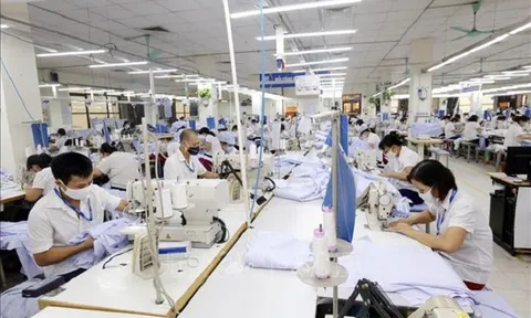 Vinatex lần đầu báo lỗ sau cổ phần hóa