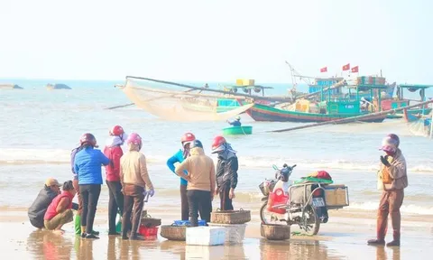 Ngư dân miền Trung trúng đậm “lộc biển” những ngày đầu xuân