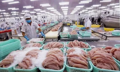 Việt Nam là thị trường cung cấp thủy sản lớn thứ ba cho Hàn Quốc