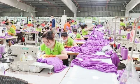Xuân sớm trên nhà máy công trường vùng đất lúa