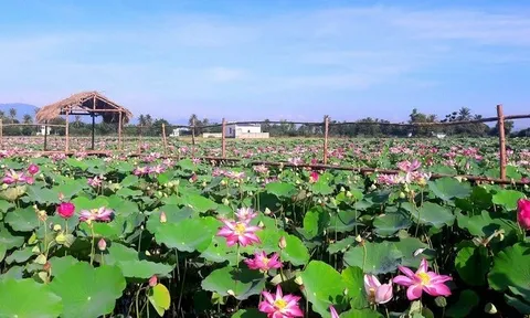 Đồng Tháp: Đẩy mạnh ứng dụng công nghệ của công nghiệp 4.0 phát triển du lịch thông minh