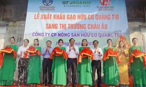 Quảng Trị: Xuất khẩu 15 tấn gạo hữu cơ đầu tiên sang châu Âu
