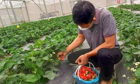 Bắc Kạn hướng đến sản xuất và tiêu dùng bền vững