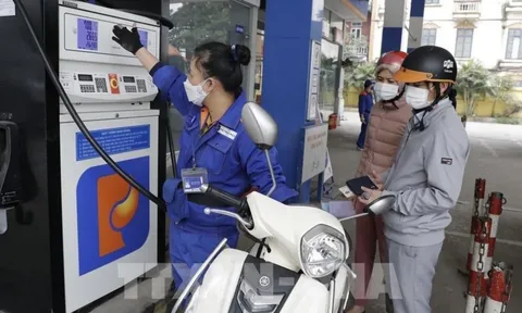 Giá xăng và giá dầu đều giảm trong kỳ điều hành tháng 21/2/2023
