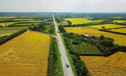 Tp.HCM giảm 30% tiền thuê đất, mặt nước cho người bị ảnh hưởng bởi COVID-19