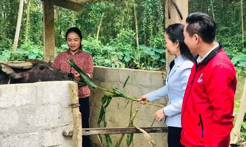 Hà Tĩnh: Trao 100 triệu đồng hỗ trợ phụ nữ nghèo xã biên cương phát triển sinh kế