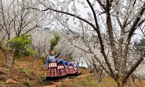 Sắc xuân trên cao nguyên đá Tả Van Si Ma Cai