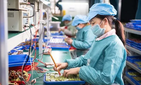 Số doanh nghiệp thành lập mới giảm gần 20%