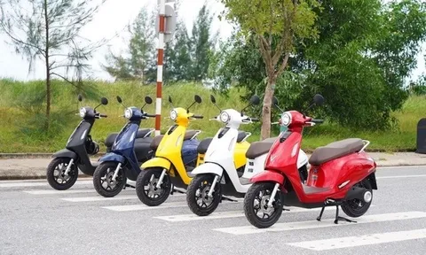 Tỷ phú Phạm Nhật Vượng chi 3.000 tỷ đồng mở công ty cho thuê xe điện