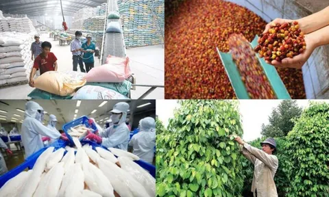 Quy định mới của EU về ngưỡng dư lượng hóa chất trong nông sản, thực phẩm