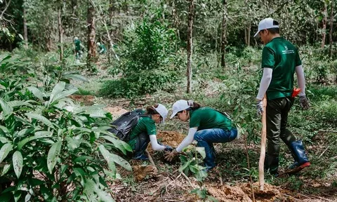 Nestlé được ghi nhận về nỗ lực bảo vệ rừng, góp phần giảm tác động biến đổi khí hậu