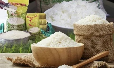 Giá gạo xuất khẩu Việt Nam cao nhất thế giới