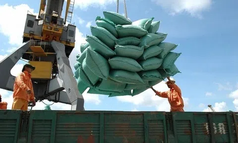 Indonesia nhập khẩu 2 triệu tấn gạo, cơ hội cho doanh nghiệp Việt