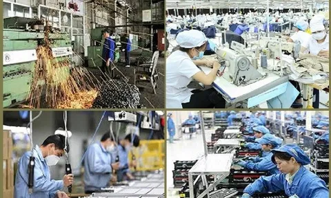 Cải cách môi trường kinh doanh tiếp tục là động lực để đoanh nghiệp tăng trưởng