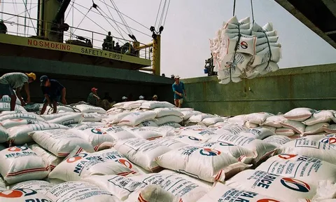 Giá trị xuất khẩu gạo tăng hơn 30% trong 3 tháng đầu năm 2023