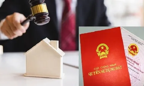 Những ai được tham gia đấu giá quyền sử dụng đất?