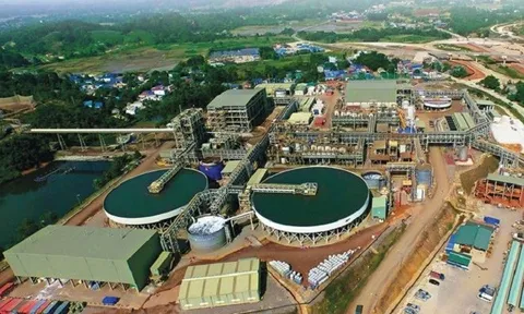 Doanh nghiệp FDI trong lĩnh vực khai khoáng, thông tin, truyền thông hiệu quả sử dụng tài sản, vốn còn thấp