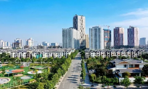 4 nhóm điển hình của doanh nghiệp bất động sản trên thị trường Việt Nam