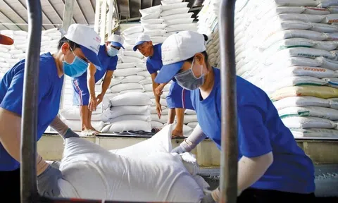 Gs. Võ Tòng Xuân: Nhiều nước rất thích gạo Việt Nam vì chất lượng, ngon cơm