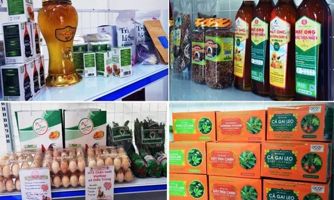 Triển vọng tươi sáng của chương trình OCOP Việt Nam