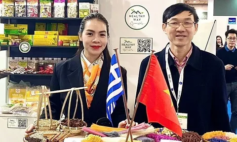 Doanh nghiệp thành viên Hiệp hội Đầu tư Xây dựng - Dịch vụ Nông, lâm nghiệp Việt Nam tăng cường xúc tiến thương mại