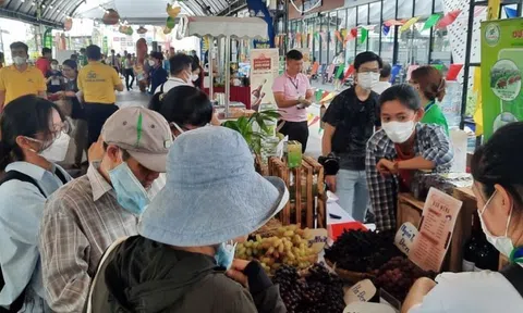 TP. Hồ Chí Minh: Người tiêu dùng có cơ hội mua sắm hơn 1.000 nông đặc sản vùng miền