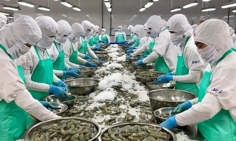 Khe cửa hẹp có thể giúp ngành thủy sản Việt Nam vượt khó