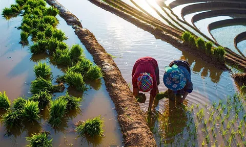Du lịch Nông nghiệp – Xu thế phát triển kinh tế xanh