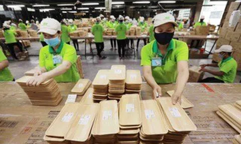 Ngành gỗ đối diện nhiều khó khăn do thị trường suy giảm nhu cầu