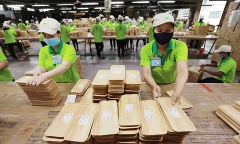 Ngành gỗ đối diện nhiều khó khăn do thị trường suy giảm nhu cầu