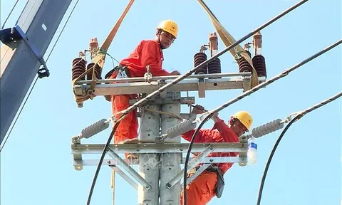 EVN chốt giá điện tạm bằng 50% khung giá phát điện quy định với 24 dự án điện tái tạo
