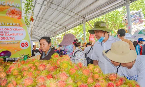Lễ hội trái cây Nam Bộ sắp diễn ra tại Tp.HCM
